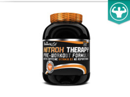 BioTech USA NitroX Therapy